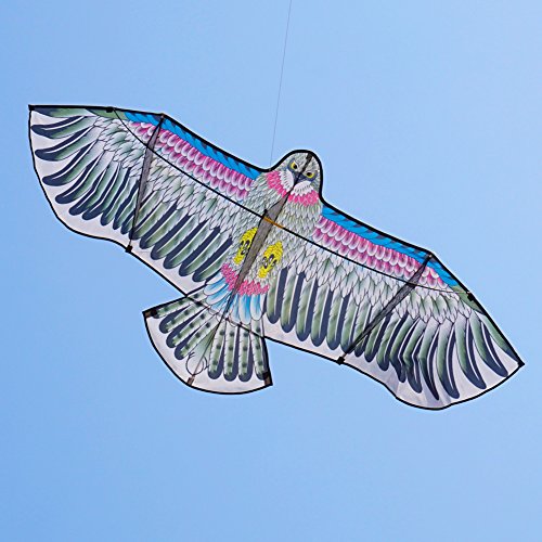 Besra 72inch 3D Eagle Bird Kite with Flying Tools Outdoor Fun Sports for Beach & Park (Eagle)