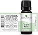 Plant Therapy Tension Relief Essential Oil Blend 10 mL (1/3 oz) 100% Pure, Undiluted, Therapeutic Grade