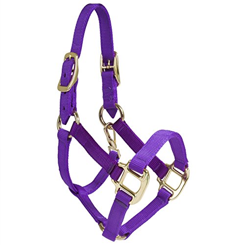 Intrepid International Nylon Miniature Horse Halter, Purple, Large