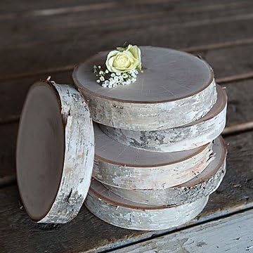 Wilson Enterprises Kiln Dried Large Birch Rounds (Set of 4) 7-10 inches Diameter x 1.25 inches Thick