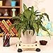Tosnail Pine Wood Square Plant Dolly / Caddy Plant Stand with Roller, 10