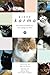 Kitty Karma: Big Stories of Small Cats Who Change Our Lives by Wai-Lin Terry, John Newell