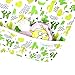 Langsprit Baby Bib with Sleeves-Waterproof Infant/Toddler Bib with Pocket(6-24 Months),Cactus