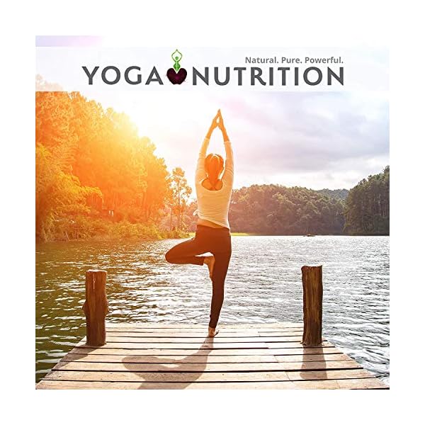 Liposomal-Vitamin-B-Complex-250ml-B1-B2-B3-B6-B7-B9-B12-Liposomal-for-Optimal-Absorption--No-Artificial-preservatives--Supports-a-Healthy-Nervous-System-by-Yoga-Nutrition Liposomal Liquid Vitamin B Complex 250ml (Large) – High Strength, Liposomal Maximum Absorption B Vitamins, Boosts Immune…