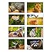 BEST PAPER GREETINGS 40 Pack Wild Animals Postcards Bulk 4x6 - Safari Animals - Blank Animals Post Cards for Mailing, 20 Assorted Photos