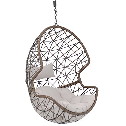 Sunnydaze Danielle Hanging Egg Chair Swing, Resin Wicker Basket Design