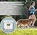 Stella Ruffington Calming Treats for Dogs and Cats - All Natural Anxiety Composure Aid with Valerian Root, Chamomile & Turmeric - Pet Stress Relief Soft Chews for Separation Anxiety, Barking, Storms