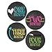Monthly Bodysuit Stickers Retro Chalkboard Style, for Baby Girl or Baby Boy (Includes 1-12 Month Onesie Stickers)