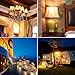 Haian Support 12 Volt Led Light,Low Voltage Bulb 5W (40W Equivalent),E26/E27 Standard Base,Warm White 3000k,Low Voltage Light Bulbs for Off Grid Solar lighting,RV Lighting, Boat Lighting,Camper 1 Pack