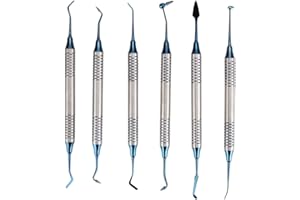 ANGGREK Dental Filling Spatula,6Pcs Professional Dental Composite Resin Filling Spatula Restoration Instrument Tool