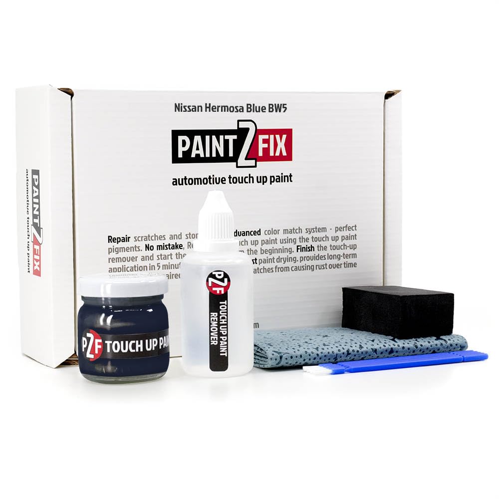 BW5 Hermosa Blue Touch Up Paint Kit for Nissan
