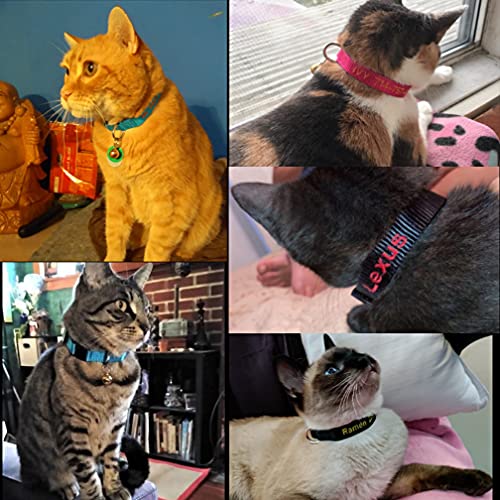 cat name collar