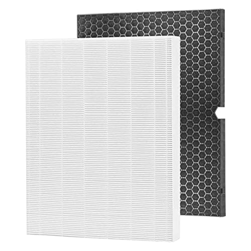 RONGJU Replacement 116130 Filter H for Winix 55002, Filter &