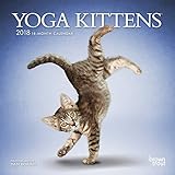Yoga Kittens 2018 7 x 7 Inch Monthly Mini Wall Calendar, Animals Humor Kitten (Multilingual Edition) by