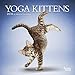 Yoga Kittens 2018 7 x 7 Inch Monthly Mini Wall Calendar, Animals Humor Kitten (Multilingual Edition) by