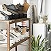 Darius Shoe Slots Space Saver Adjustable Closet Organizer,Double Storage Rack Holder, Set of 4 Black