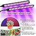 Grow Light for Indoor Plants 50W 96 LED Full Spectrum Plant Lights, Auto On/Off 3/6/12H Timer 5 Dimmable Levels 3 Switch Modes Dual Head Desk Growing Lamp for Gardening Seedling Succulent Hydroponic