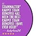STAINMASTER Carpet Stain Remover Cleaner, 22 Fl Oz
