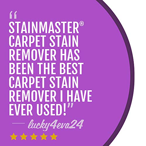STAINMASTER Carpet Stain Remover Cleaner, 22 Fl Oz - Thumbnail 6
