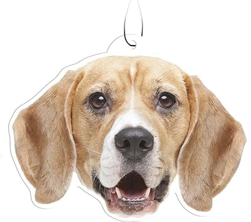 Spoontiques Beagle Air Freshener (3pk) - Dog Themed Car Interior Accessories & Essentials - Hanging Deodorizer, Long-Lasting Fragrance (New Car Scent)