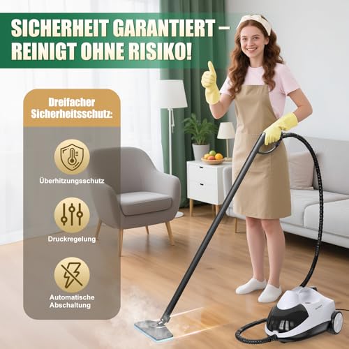 Rolipo Steam Cleaner 4 Bar Power 2000 W Max Tank 2 L Working Time 40 Minutes with Floor Cleaning Kit, Nozzles and Round Brush for Floors, Sofas, Upholstery and Cars