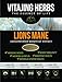 Lions Mane Mushroom Extract Powder (4oz-114gm) | 20:1 Concentration (Organic)