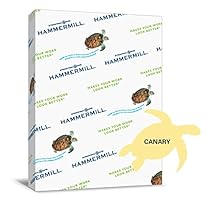 Hammermill Paper, Colors Canary, 24lb., 8.5x11, Letter, 500 Sheets / 1 Ream, (104307R), Made In The USA