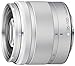 Panasonic 35-100mm f/4-5.6 Interchangeable Zoom Lens (Silver)