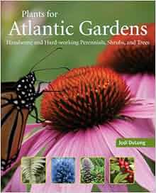 Plants For Atlantic Gardens Handsome And Hard Working