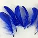 Sowder Natural Goose Feathers Clothing Accessories Pack of 100(Royal Blue)