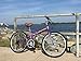COLUMBA 26 inch 18 Speed Folding Bike (Purple)