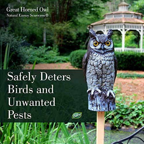 Dalen Fake Owl Decoy to Scare Birds Away from Gardens, Rooftops, and