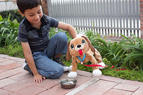 PEPPY PETS Mutt