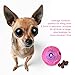 Airsspu Interactive Dog Toy - IQ Treat Ball Food Dispensing Toys for Small Medium Large Dogs Durable Chew Ball - Nontoxic Rubber and Bouncy Dog Ball - Ball Shape Design Cleans Teeth