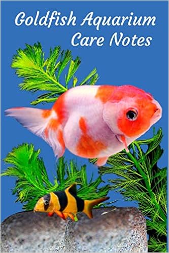 Amazon Goldfish Aquarium Care Notes Ideal Compact Goldfish Tank Maintenance Record Book Great For Monitoring Water Parameters Water Change Schedule And Breeding Conditions Books Fishcraze Fish Aquariums