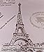 NTBAY 3 Pieces Duvet Cover Set Eiffel Pattern Printed Microfiber Reversible Design(King, Eiffel)
