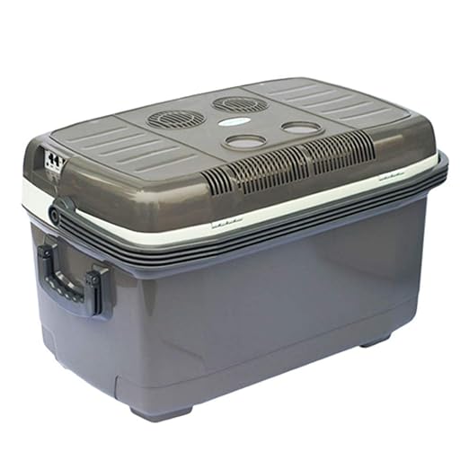 Nevera PortáTil con Refrigerador De AutomóVil con Ruedas Coche De ...