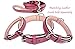 Soft Touch Collars Raspberry Pink Leather Padded Dog Collar, for Large Female Dogs, Made with Genuine Real Leather, 24