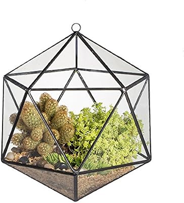 Ncyp Wall Hanging Geometric Terrarium Balcony Tabletop Windowsill Decor Glass Flower Pot Modern Large Indoor Garden Micro Landscape Icosahedron Planter Container For Succulent Air Plant Fern Buy Online At Best Price In