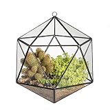 Hanging Modern Icosahedron Open Glass Geometric Terrarium Flower Pot Succulent Fern Planter Micro Lnadschaft