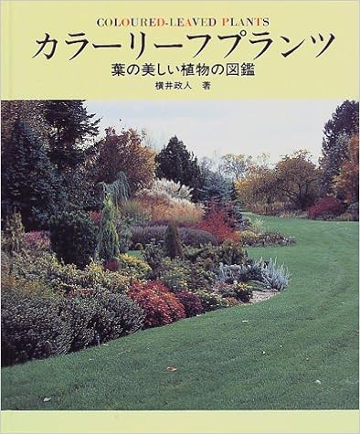 カラーリーフプランツ 葉の美しい植物の図鑑 横井 政人 本 通販 Amazon
