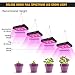 Elaine Upgraded Timer Control 600W LED Grow Light Full Spectrum Auto On/Off Timing Function with UV&IR for Indoor Plant Veg and Flower