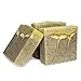 Jewelweed Anti Itch Soap - Natural Poison Ivy Wash - One Large 5.5 Oz. Bar - Organic Palm Oil Soap - Shea Butter - Olive Oil - Coconut Oil - Handmade Cold Process - Homeopathic