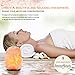 HemingWeigh Natural Himalayan Salt Lamp Hand Carved with Genuine Wood Base, Bulb and On and Off Switch 6 to 8 Inch