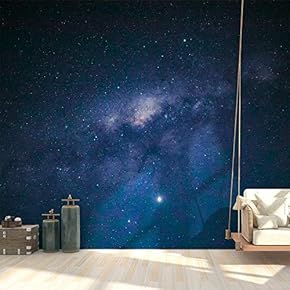 Wall Mural Starry Sky Removable Self-Adhesive Large Wallpaper - 66x96 inches
