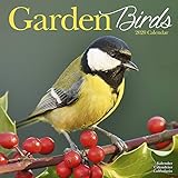 Garden Bird Calendar - Calendars 2019 - 2020 Wall Calendars - Animal Calendar - Garden Birds 16 Mont by