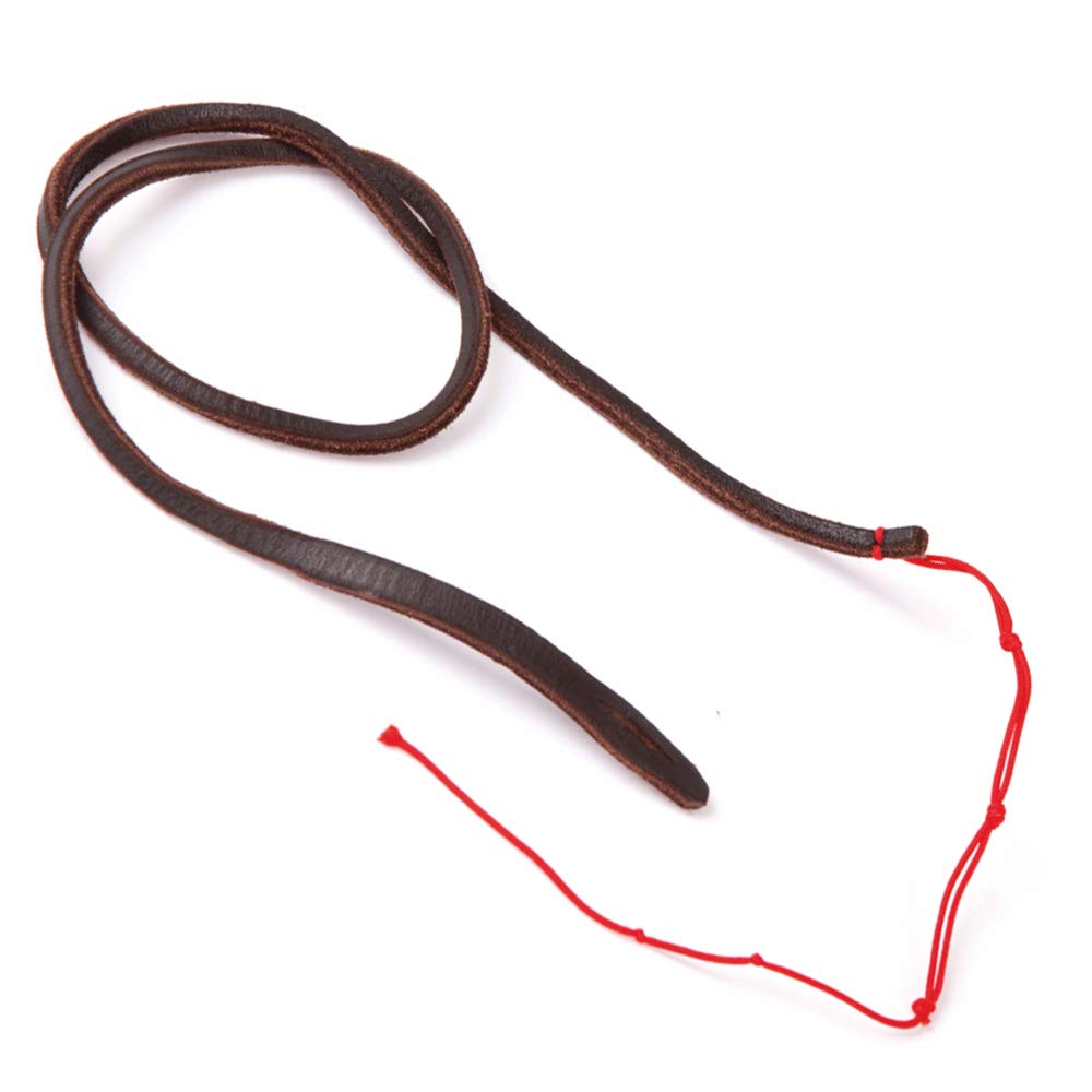 Dingo Gear S02630 - Whip with wand and whip, 50 cm, replaceable tip, Assorted colors, 1 piece