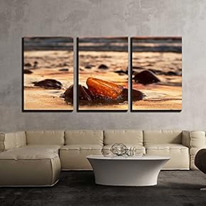 3 Piece Canvas Wall Art - Amber Stone on The Beach at Sunset. Precious Gem, Treasure Concept. Baltic Sea, Poland. - Modern Home Art Stretched and Framed Ready to Hang - 16"x24"x3 Panels
