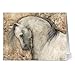 Note Card Cafe All Occasion Greeting Card with Kraft Envelopes | 36 Pack | Blank Inside, Glossy Finish | 6 Various Honorable Horses Designs | Bulk Set for Grandson, Corporate, Friends