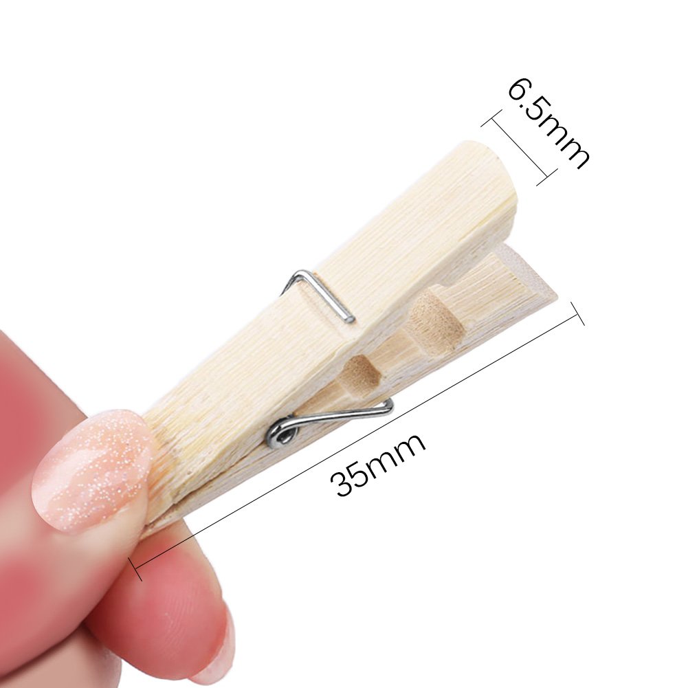 Amteker LED Photo Clip String Lights - 10M 100LED String Lights with 50 Pcs Photo Clips Hanging Photo Frames Light for Home, Wall, Christmas, Party, Bedroom Decorations (with 50 Clip & 20 Nails)